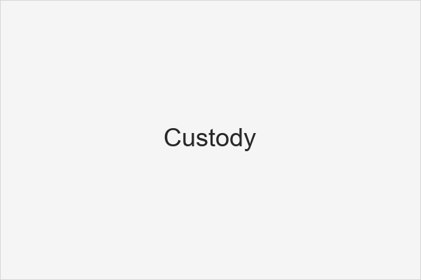 Child Custody Lawyer Columbia SC